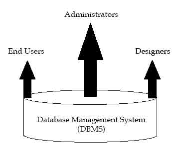 1 dbms users