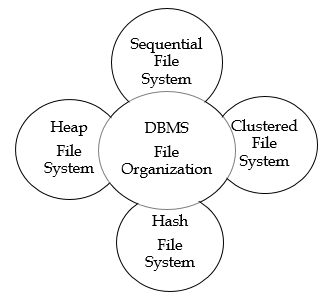 42 file organization